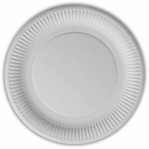 100 Large 9inch Paper Plates