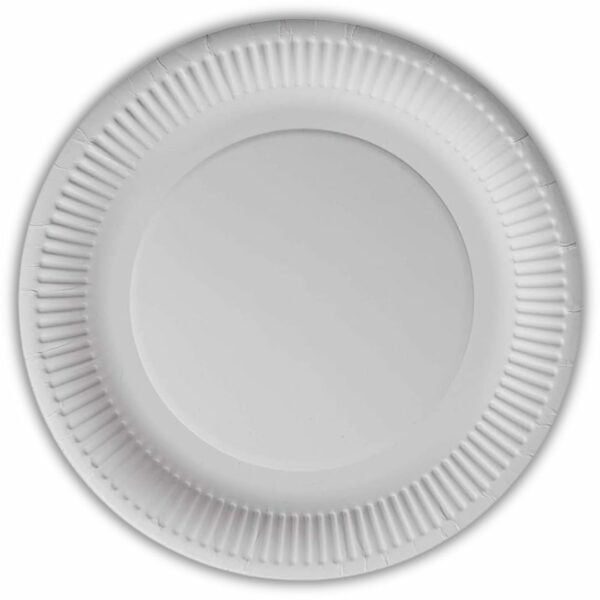 100 Small 7inch Paper Plates