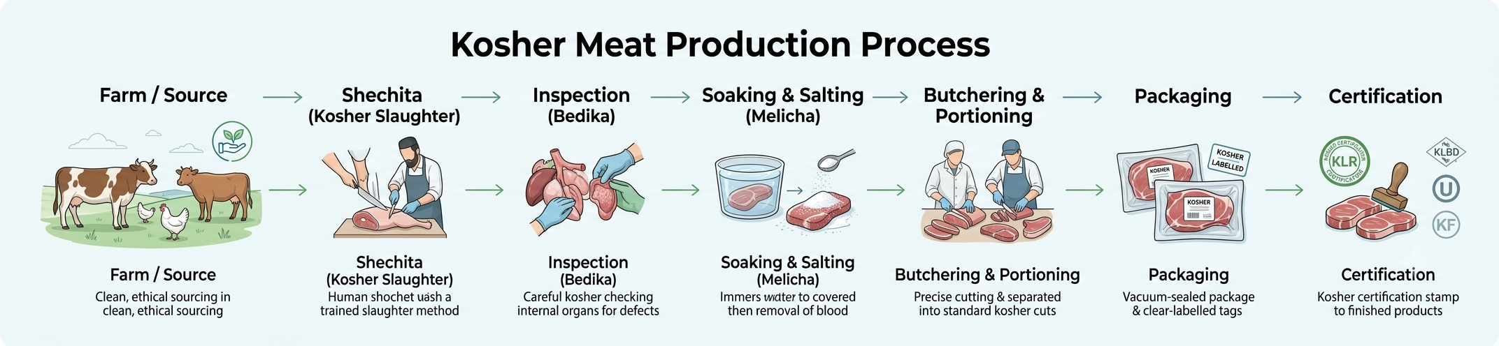Diagram showing the kosher meat production process from shechita slaughter through salting and kosher certification